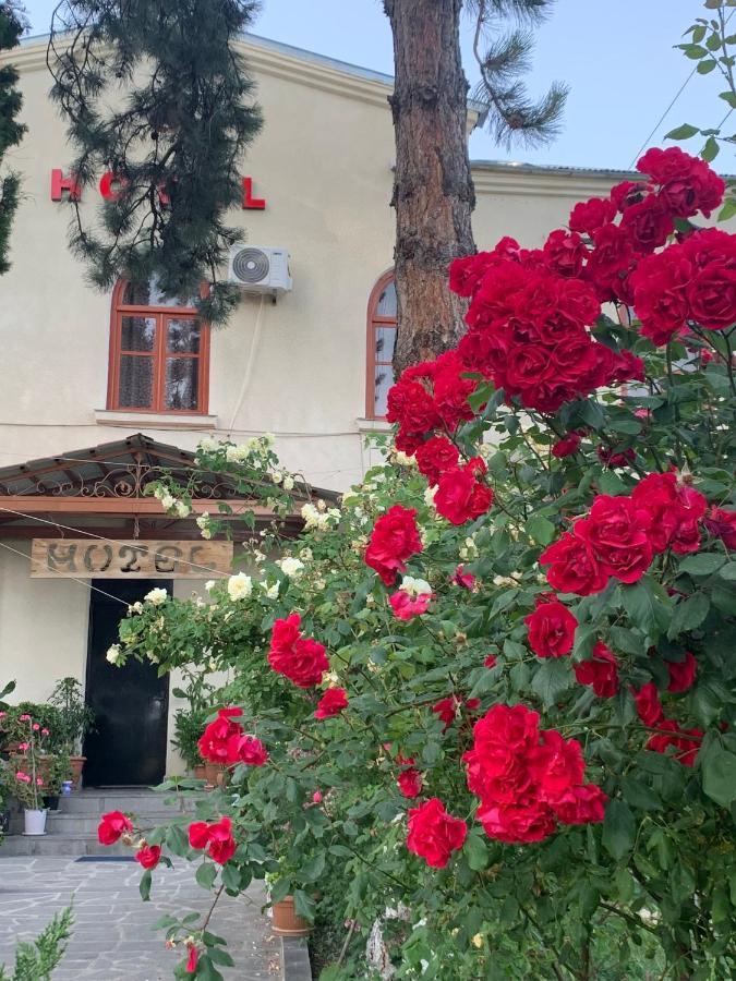 Hotel Kakhaberi Tetritskaro Екстер'єр фото